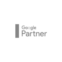 google partner_2x
