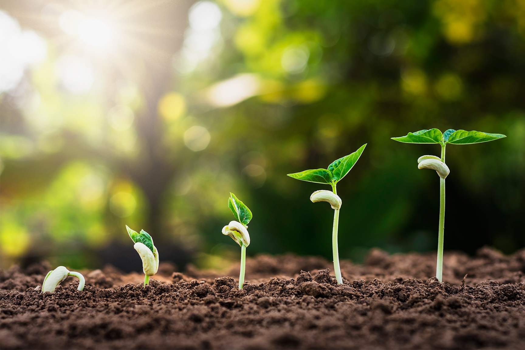 Lean Startup y su importancia en el diseño de productos